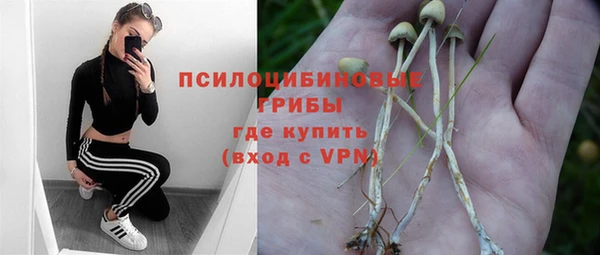 экстази Алексин