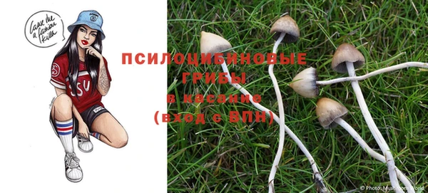 кристаллы Нея