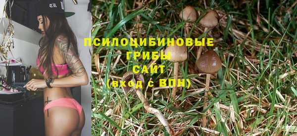 экстази Алексин